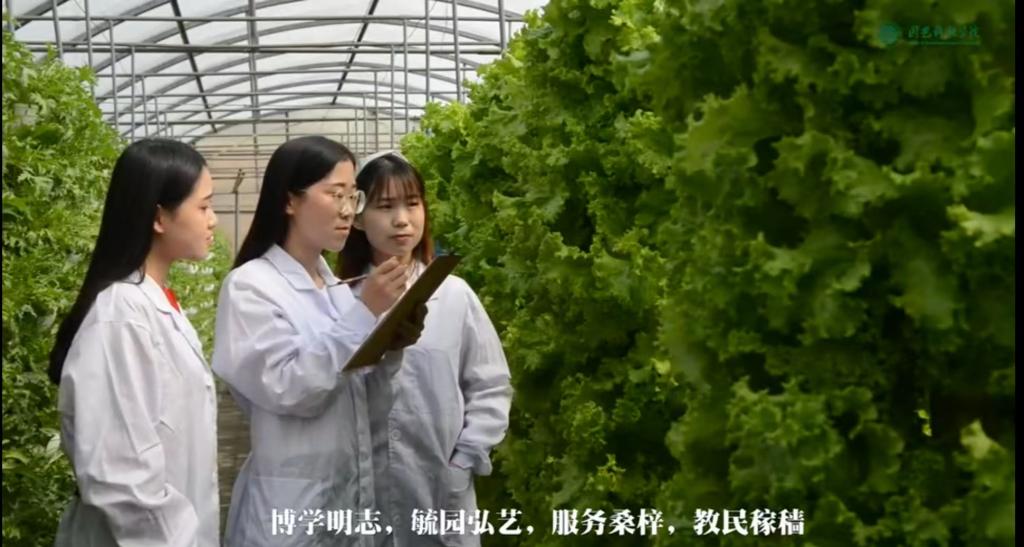 WilliamHill中文官网招生宣传短片