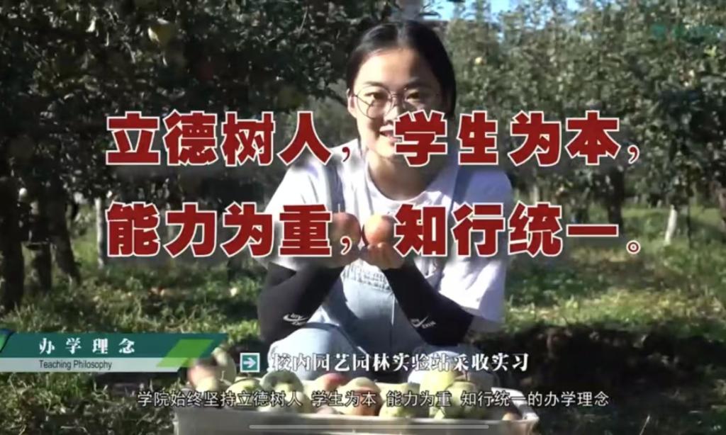 WilliamHill中文官网宣传片